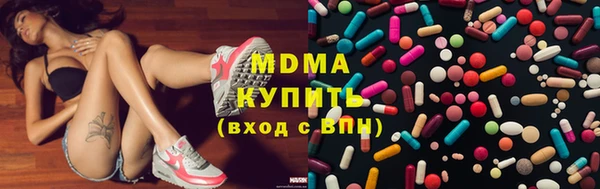 стаф Аркадак