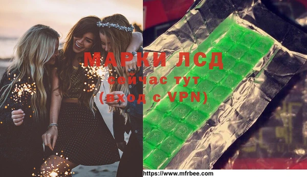 стаф Аркадак