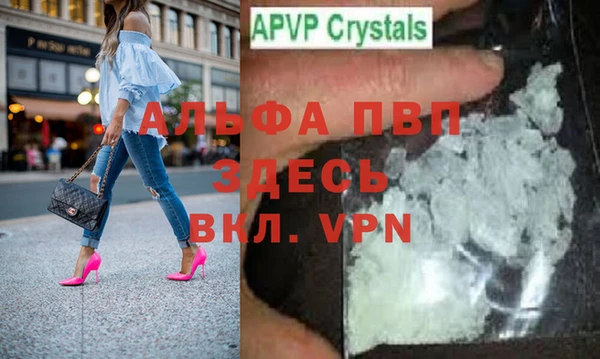 стаф Аркадак