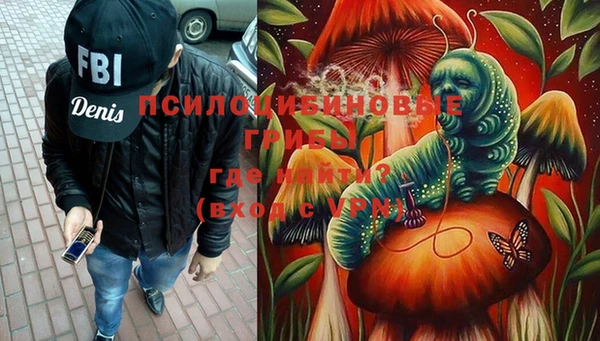 шишки Гусь-Хрустальный