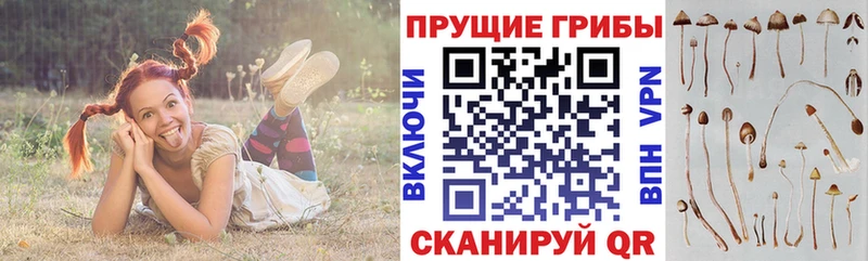 Псилоцибиновые грибы ЛСД Тетюши